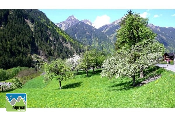 Mehrfamilienhaus St Gallenkirch Vorarlberg Österreich