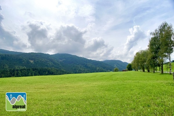 Ferienhaus mit 2 Fewos, Krakau i/d Steiermark, Österreich