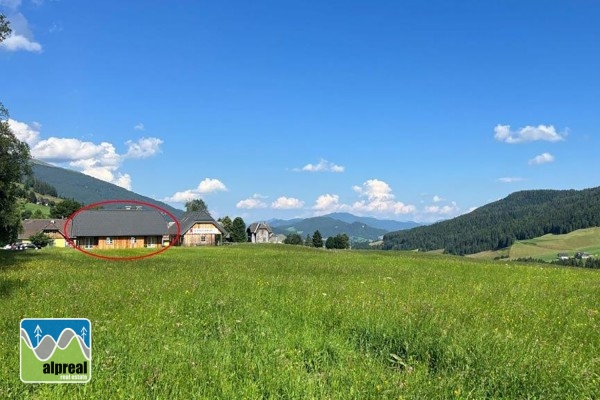 Ferienhaus mit 2 Fewos, Krakau i/d Steiermark, Österreich