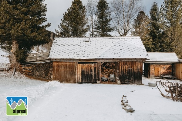 Vakantiehuis met appartement en bijgebouwen Turrach Steiermark Oostenrijk