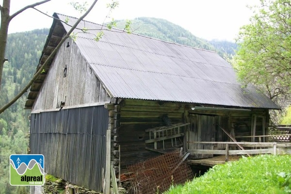 Woonboerderij met 4 slaapkamers in Predlitz Steiermark Oostenrijk