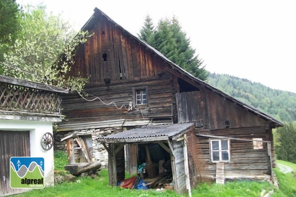 Woonboerderij met 4 slaapkamers in Predlitz Steiermark Oostenrijk