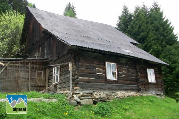 Woonboerderij met 4 slaapkamers in Predlitz Steiermark Oostenrijk