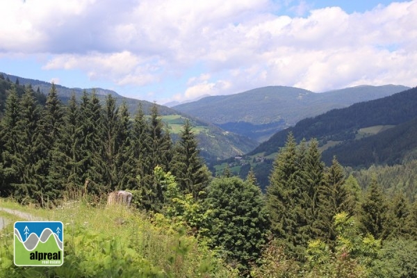 Woonboerderij met 4 slaapkamers in Predlitz Steiermark Oostenrijk