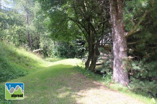 Woonboerderij met 4 slaapkamers in Predlitz Steiermark Oostenrijk