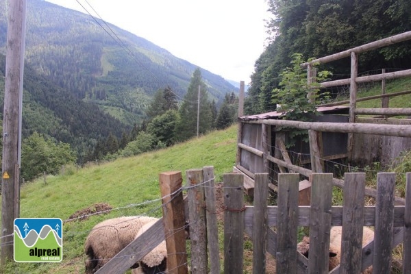 Woonboerderij met 4 slaapkamers in Predlitz Steiermark Oostenrijk