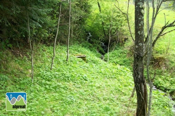 Bauernsacherl mit 4 Schlafzimmer in Predlitz Steiermark Österreich