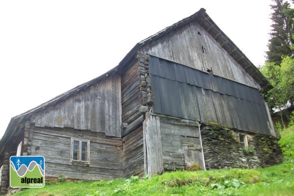 Woonboerderij met 4 slaapkamers in Predlitz Steiermark Oostenrijk