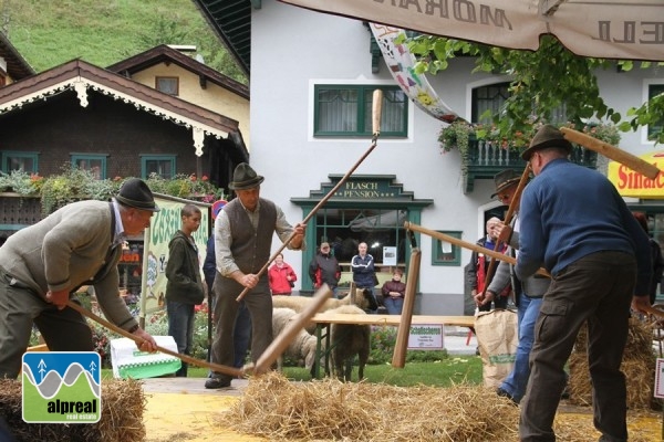 3 Zimmer Wohnung in Wagrain Salzburgerland Österreich