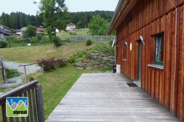 Chalet Stadl an der Mur Styria Austria