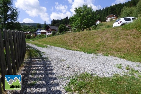 Chalet Stadl an der Mur Styria Austria