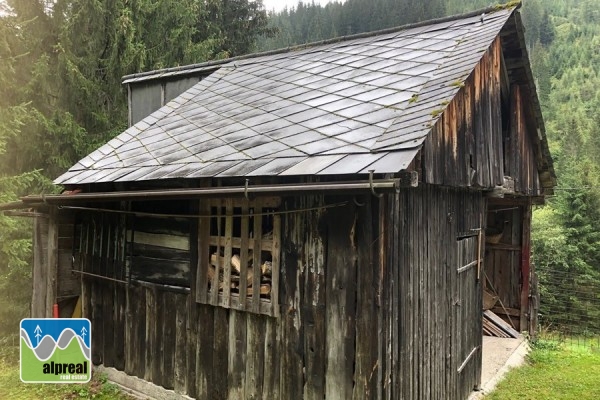 Vakantiehuis Predlitz Steiermark Oostenrijk