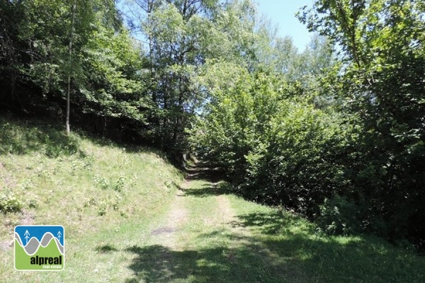 Vakantiehuis Uttendorf Salzburgerland Oostenrijk