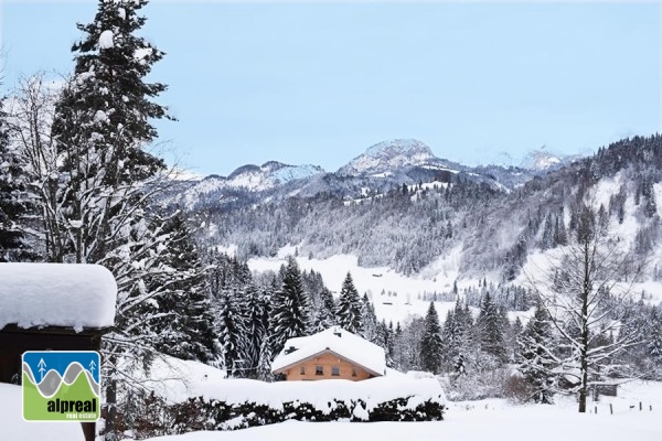 Ferienhaus Unken Salzburgerland Österreich