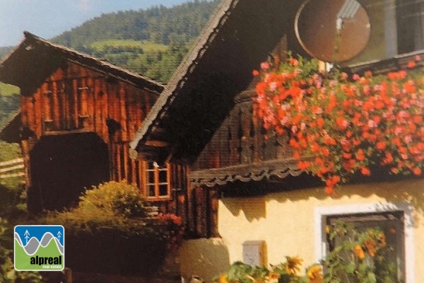 Huis Ramingstein Salzburgerland Oostenrijk